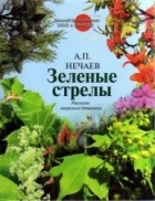 Андрей Нечаев - Зеленые стрелы