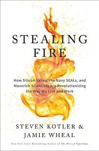  - Stealing Fire: How Silicon Valley, the Navy SEALs, and Maverick Scientists Are Revolutionizing the Way We Live and Work