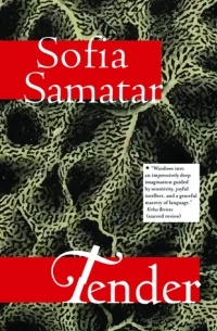 Sofia Samatar - Tender: Stories