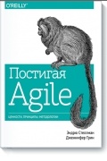  - Постигая Agile