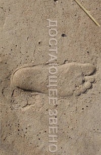 Шанс для приматов