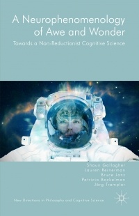 - A Neurophenomenology of Awe and Wonder: Towards a Non-Reductionist Cognitive Science (New Directions in Philosophy and Cognitive Science)