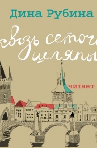 Сквозь сеточку шляпы