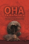  - Она развалилась. Повседневная история СССР и России