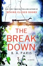 B. A. Paris - The Breakdown