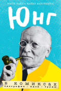  - Юнг в комиксах. Биография, идеи, труды