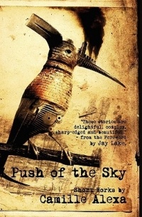 Камил Алекса - Push of the Sky