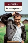 Калина красная. Печки-лавочки. Живет такой парень. Позови меня в даль светлую… Брат мой…