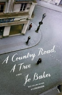 Jo Baker - A Country Road, A Tree