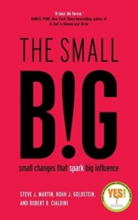  - The Small Big: Small Changes That Spark Big Influence