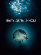 Виктор Лягушкин - Быть дельфином
