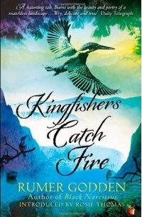 Rumer Godden - Kingfishers Catch Fire