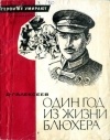 Давид Алексеев - Один год из жизни Блюхера