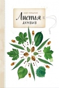 Мой гербарий. Листья деревьев
