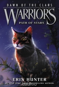 Erin Hunter - Warriors: Dawn of the Clans #6: Path of Stars