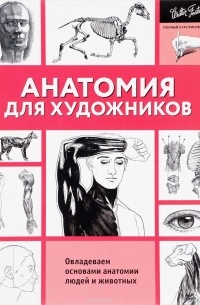 Анатомия для художников