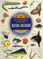 Чизман Полли - Занимательная зоология. Жизнь океанов