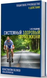 Константин Беляев - Системный здоровый образ жизни