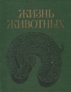 без автора - Жизнь животных. В 7 томах. Том 5. Земноводные. Пресмыкающиеся.