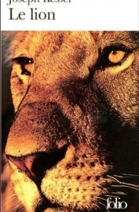 Le lion