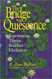 B. Alan Wallace - The Bridge of Quiescence. Experiencing Tibetan Buddhist Meditation
