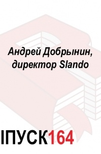 Андрей Добрынин, директор Slando