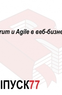 Максим Спиридонов - Scrum и Agile в веб-бизнесе