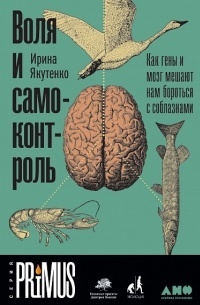 Ирина Якутенко - Воля и самоконтроль: Как гены и мозг мешают нам бороться с соблазнами