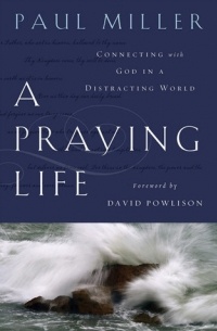Paul E. Miller - A Praying Life