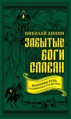 Николай Липин - Забытые боги славян