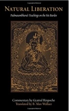  - Natural Liberation: Padmasambhava&#039;s Teachings on the Six Bardos