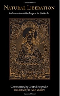  - Natural Liberation: Padmasambhava's Teachings on the Six Bardos