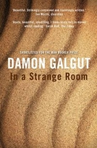 Damon Galgut - In a Strange Room