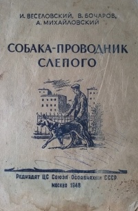  - Собака-проводник слепого
