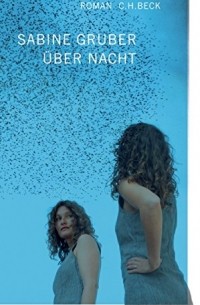 Sabine Gruber - Über Nacht