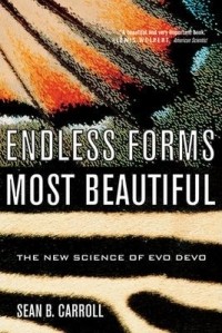 Sean B. Carroll - Endless Forms Most Beautiful : The New Science of Evo Devo