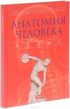 Питер Абрахамс - Анатомия человека. Атлас