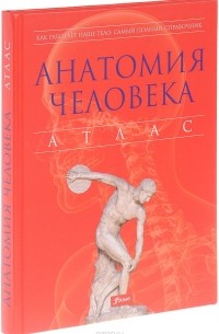 Питер Абрахамс - Анатомия человека. Атлас