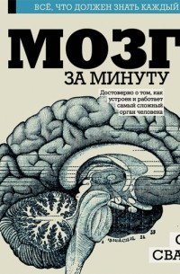 Мозг за минуту