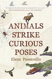 Елена Пассарелло - Animals Strike Curious Poses
