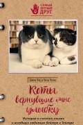 Коты, вернувшие мне улыбку