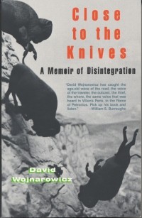 Дэвид Войнарович - Close to the Knives: A Memoir of Disintegration