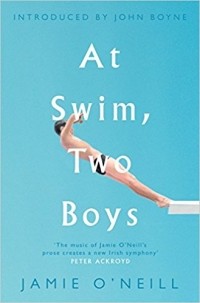 Джэми О’Нилл - At Swim, Two Boys