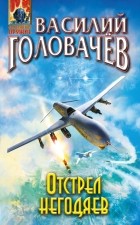 Василий Головачёв - Отстрел негодяев