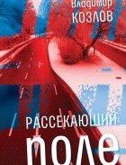 Владимир И. Козлов - Рассекающий поле