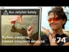 Евгения Тимонова - Кубик смерти: как достать самую опасную медузу 