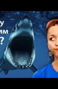 Евгения Тимонова - Почему мы едим акул?