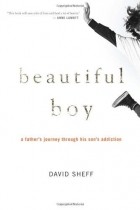 David Sheff - Beautiful Boy: A Father&#039;s Journey Through His Son&#039;s Meth Addiction