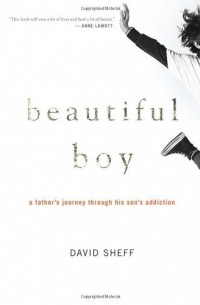 David Sheff - Beautiful Boy: A Father's Journey Through His Son's Meth Addiction