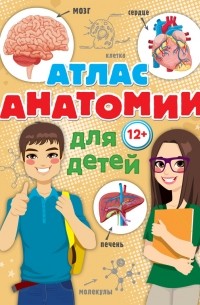 Атлас анатомии для детей
